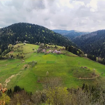 Zlatarska Studenica 아파트