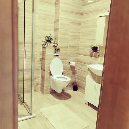 아파트 Zlatarska Studenica