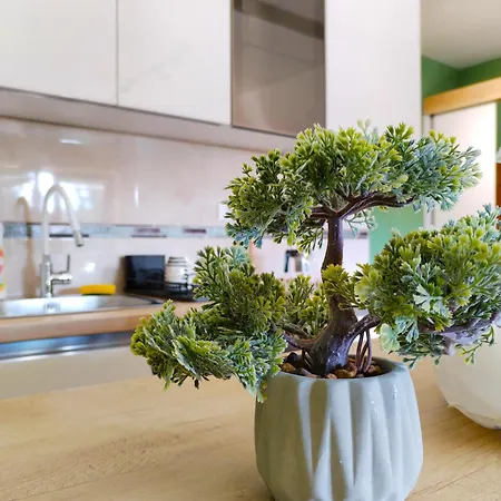 Zlatarska Studenica * Brdo